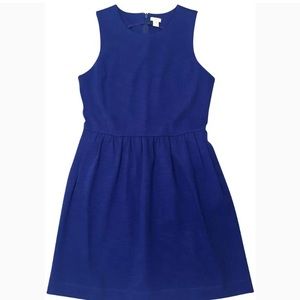 J Crew Day Dress